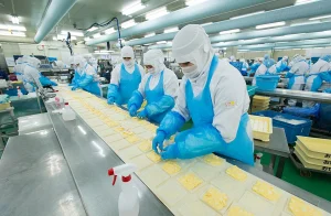 Đơn hàng Chế biến thực phẩm – Nhà máy thực phẩm tại Nhật Bản